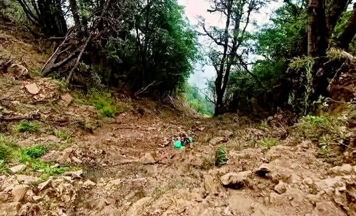 रोल्पामा भएको जीप दुर्घटनामा परि मृत्यु हुनेको संख्या २० पुगेको छ ।  